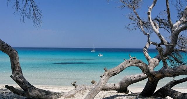 Scopri la Corsica del Nord per le tue vacanze